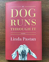 Linda Pastan Book